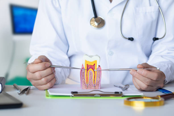 Best Pediatric Emergency Dentist in Southgate, MI